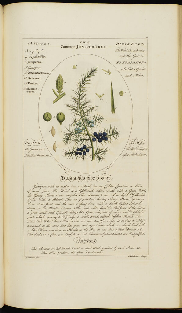 Botanicum Medicinale